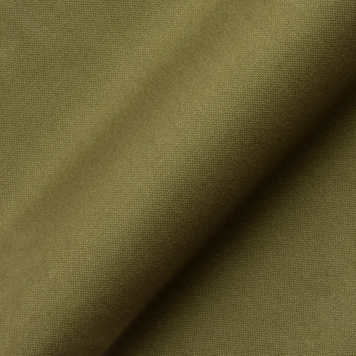 Light Canvas 100% CO