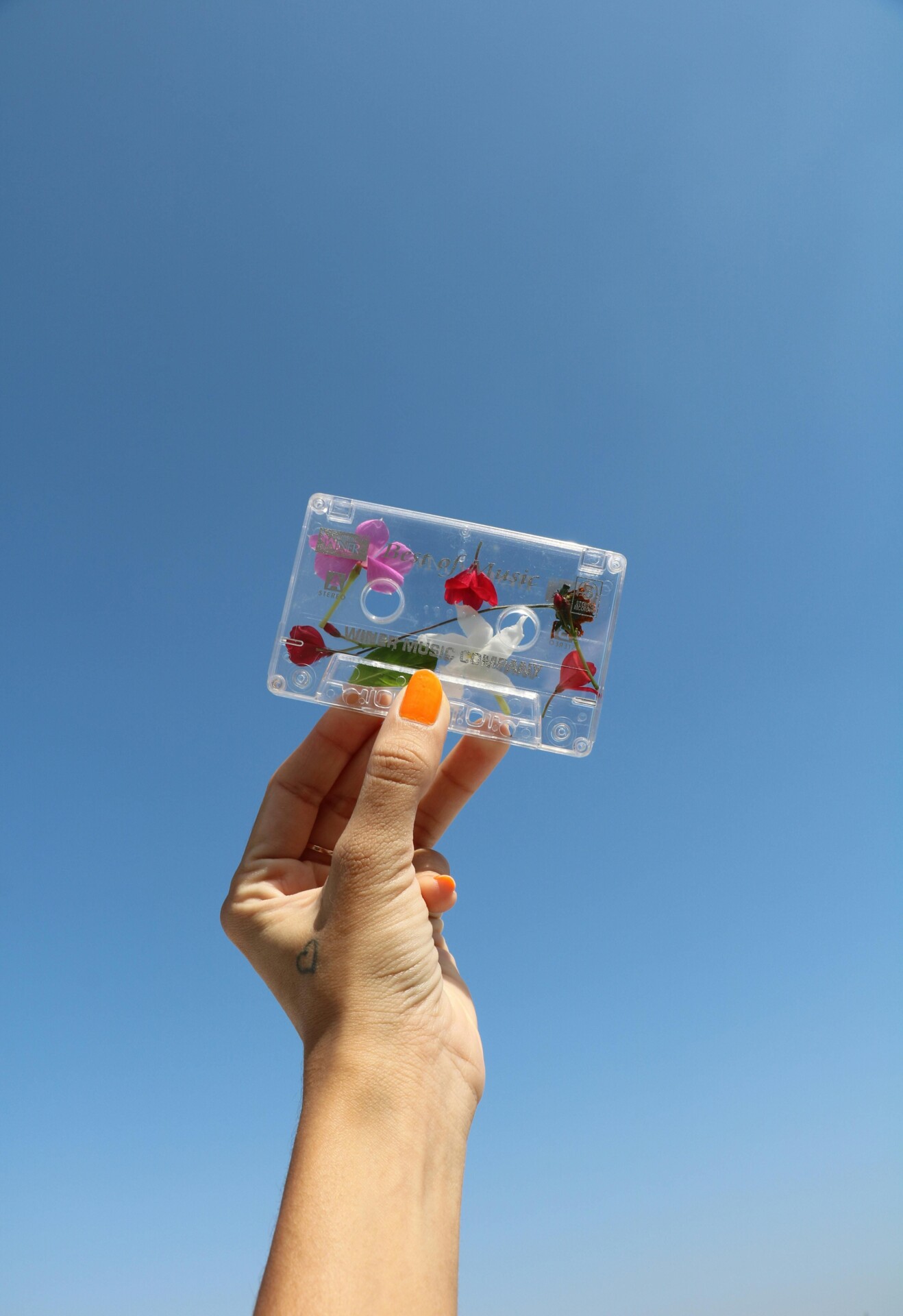 Coloured flowers in a transparent musicassette on blue sky