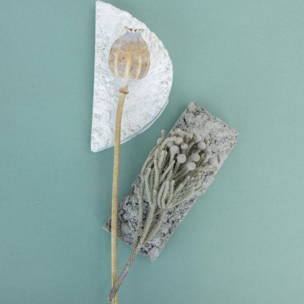 Composition of berries on natural stones and a light teal background