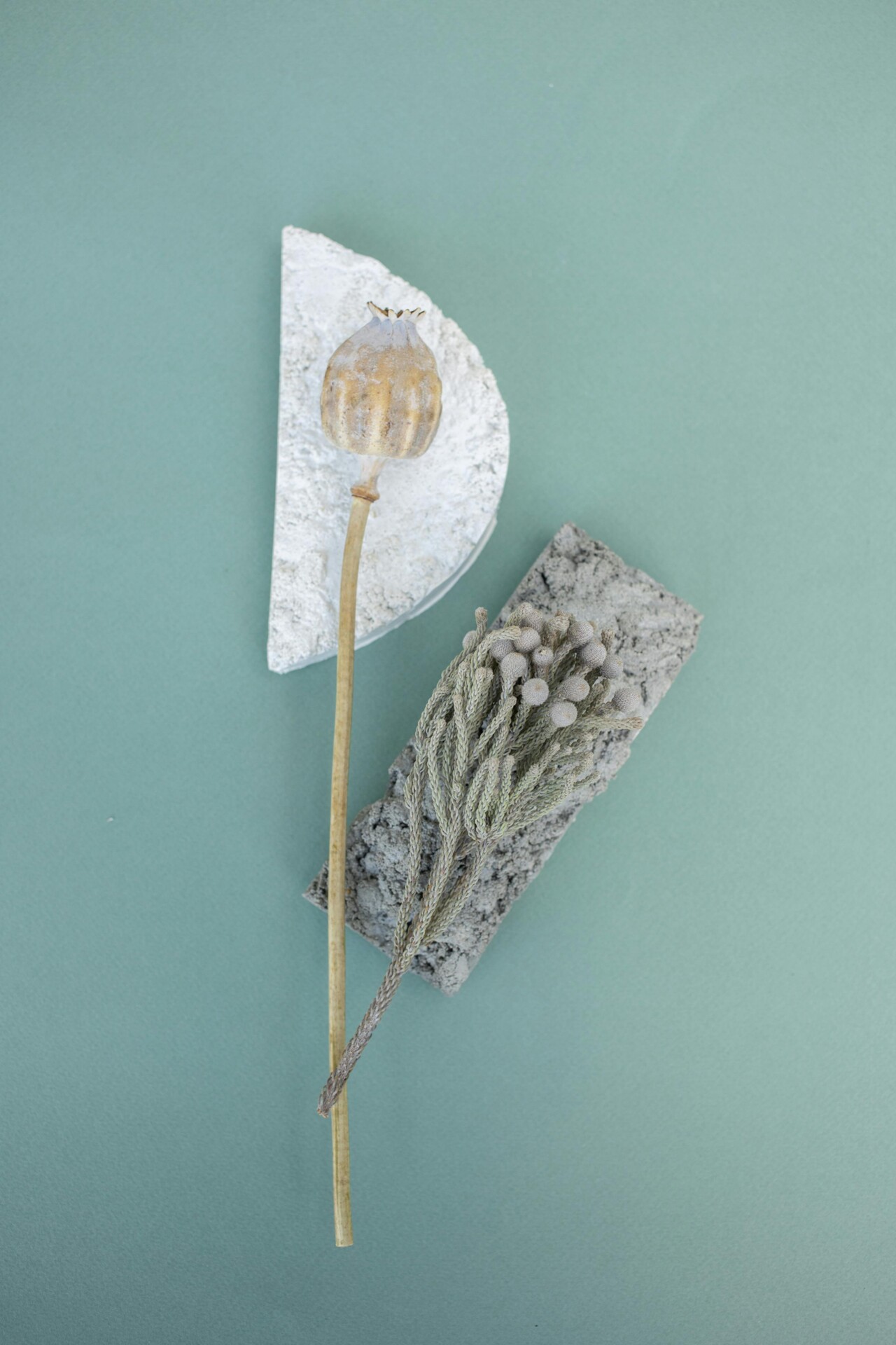 Composition of berries on natural stones and a light teal background
