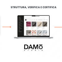 damo studio